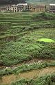 WT 141-24 Nepal